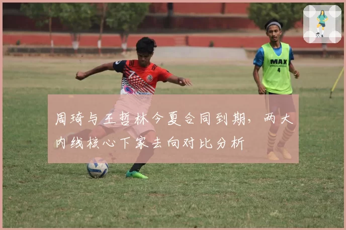周琦与王哲林今夏合同到期,两大内线核心下家去向对比分析