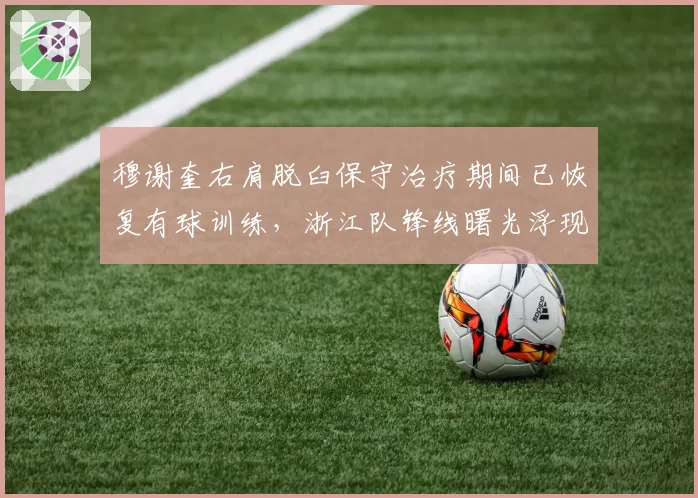 穆谢奎右肩脱臼保守治疗期间已恢复有球训练,浙江队锋线曙光浮现