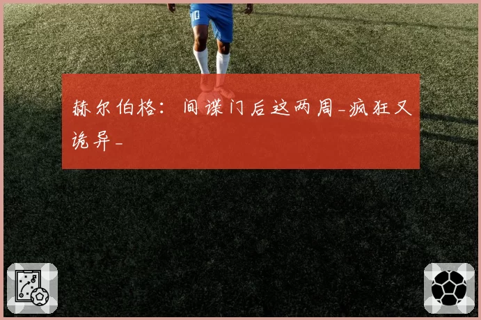 赫尔伯格：间谍门后这两周_疯狂又诡异_