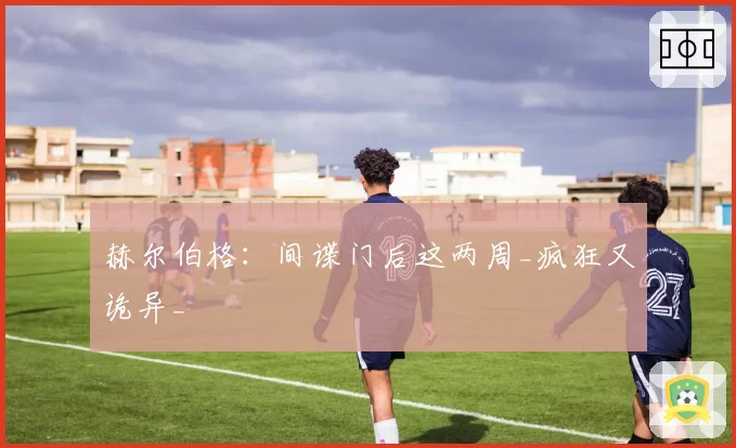 赫尔伯格：间谍门后这两周_疯狂又诡异_