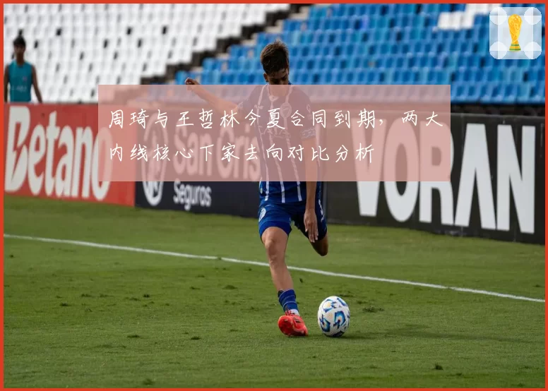 周琦与王哲林今夏合同到期，两大内线核心下家去向对比分析